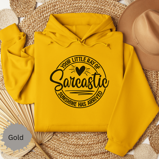 Sarcastic Ray of Sunshine Hooded Sweatshirt