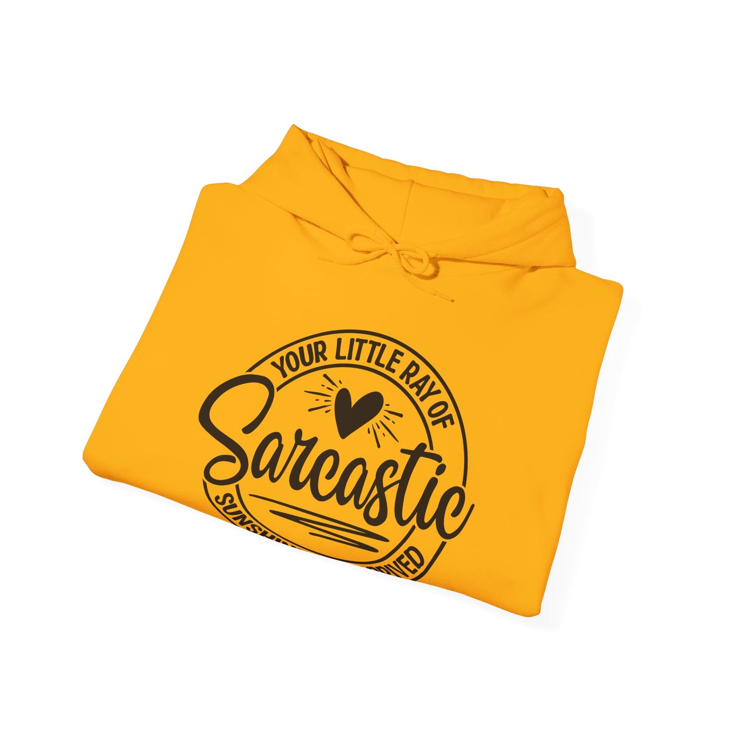 Sarcastic Ray of Sunshine Hooded Sweatshirt