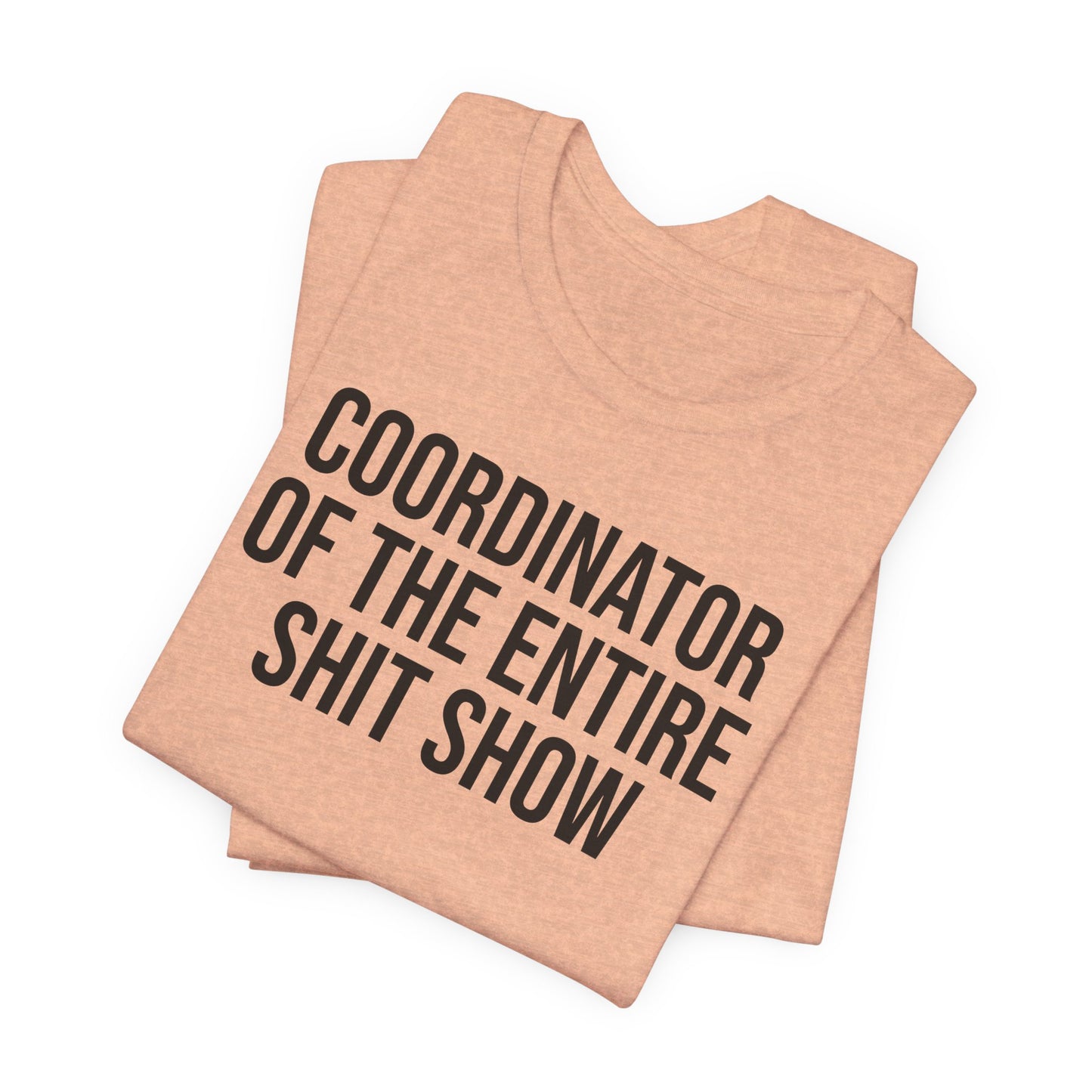 Entire Shit Show Coordinator T-Shirt