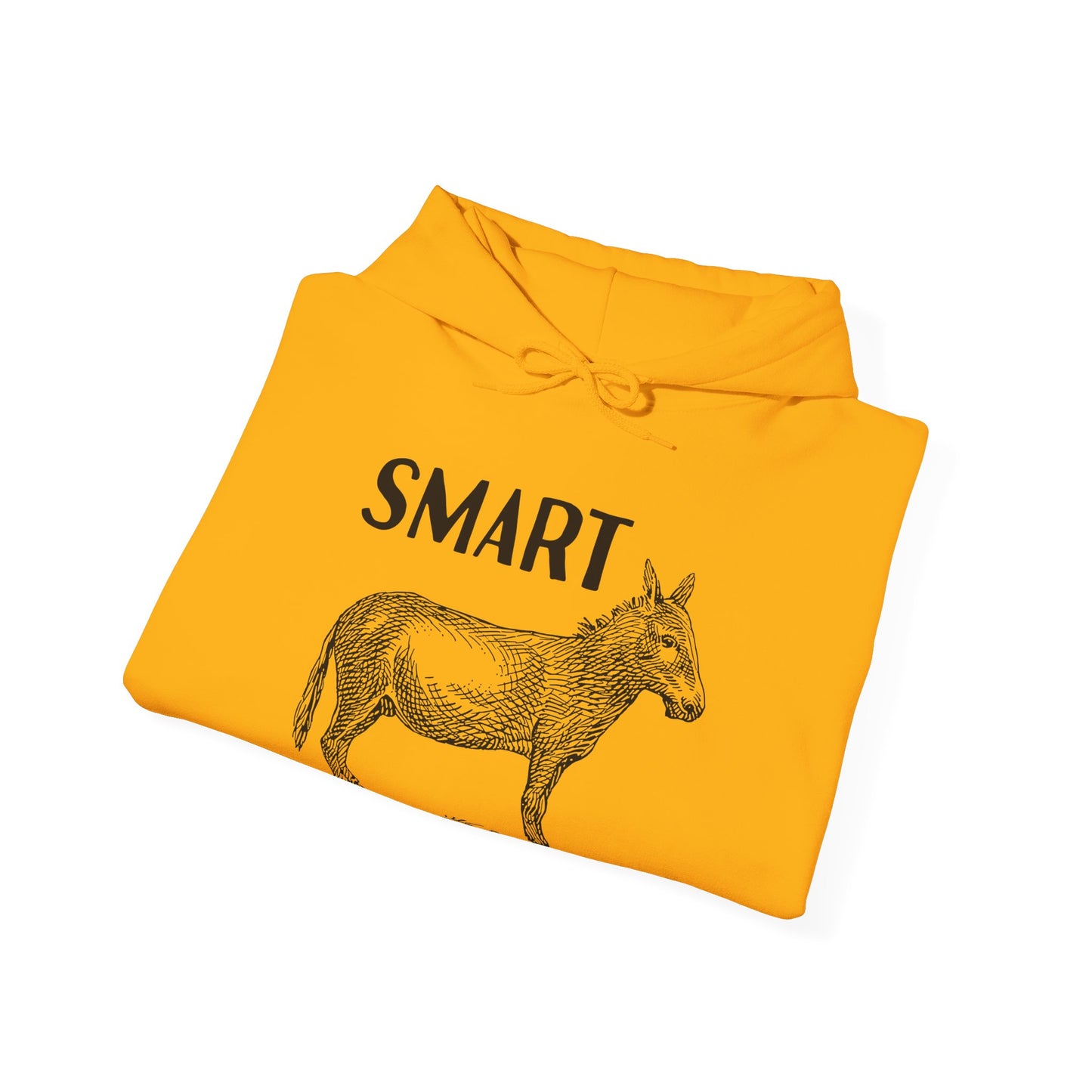 Smart Ass Hooded Sweatshirt