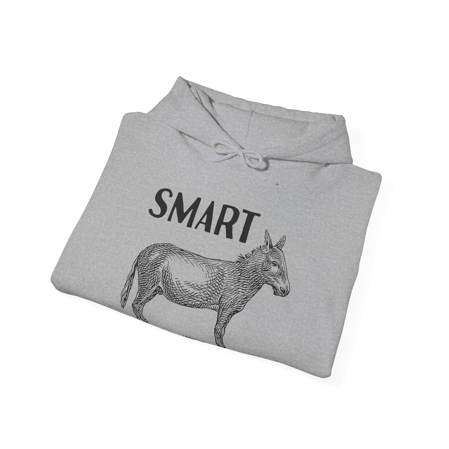 Smart Ass Hooded Sweatshirt