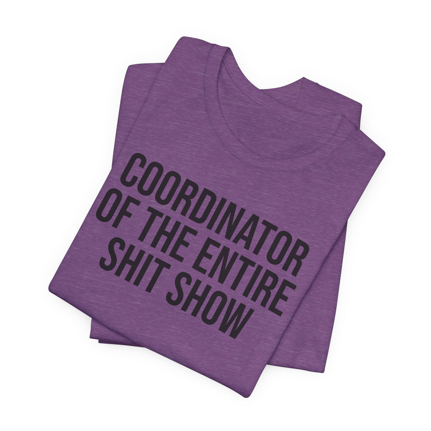 Entire Shit Show Coordinator T-Shirt