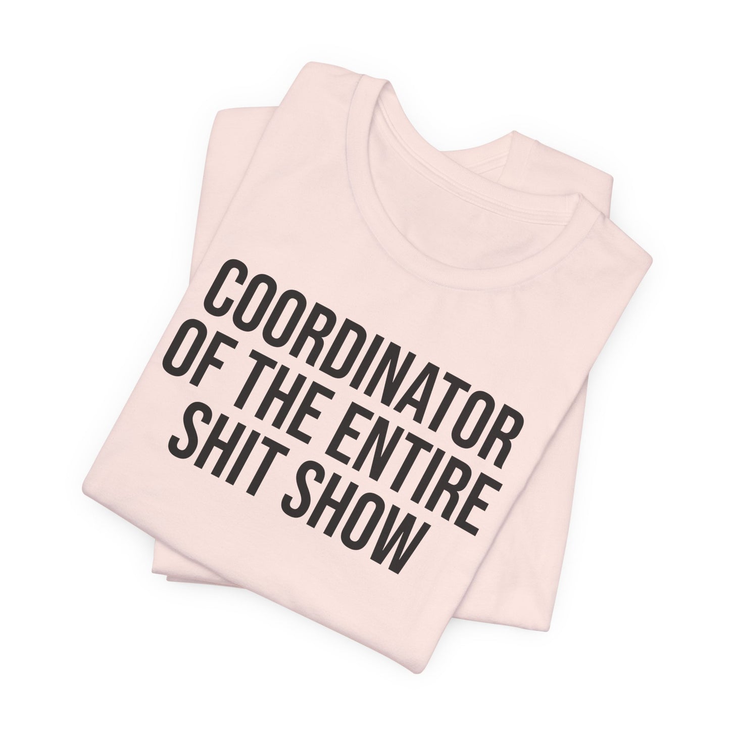 Entire Shit Show Coordinator T-Shirt