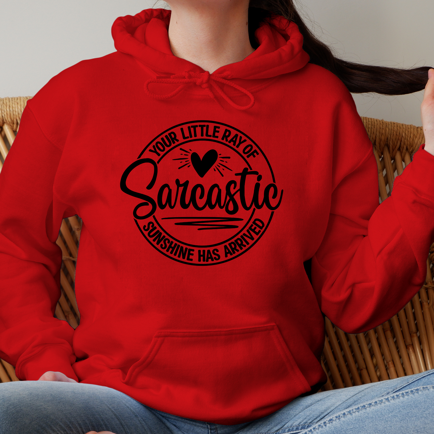 Your Little Ray of Sarcastic Sunshine Has Arrived Pullover Hoodie