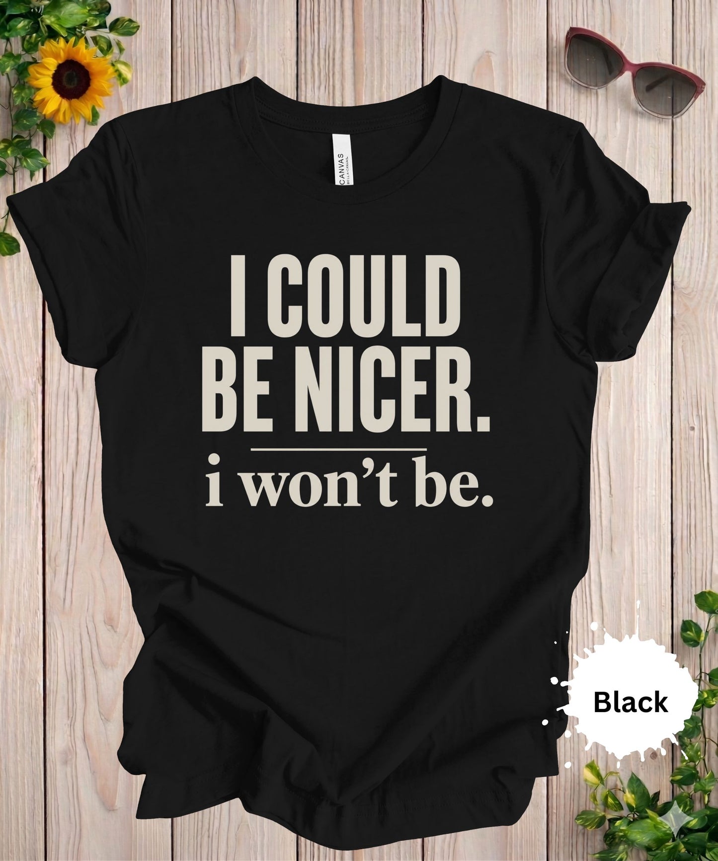 I Could Be Nicer I Won’t Be T-Shirt
