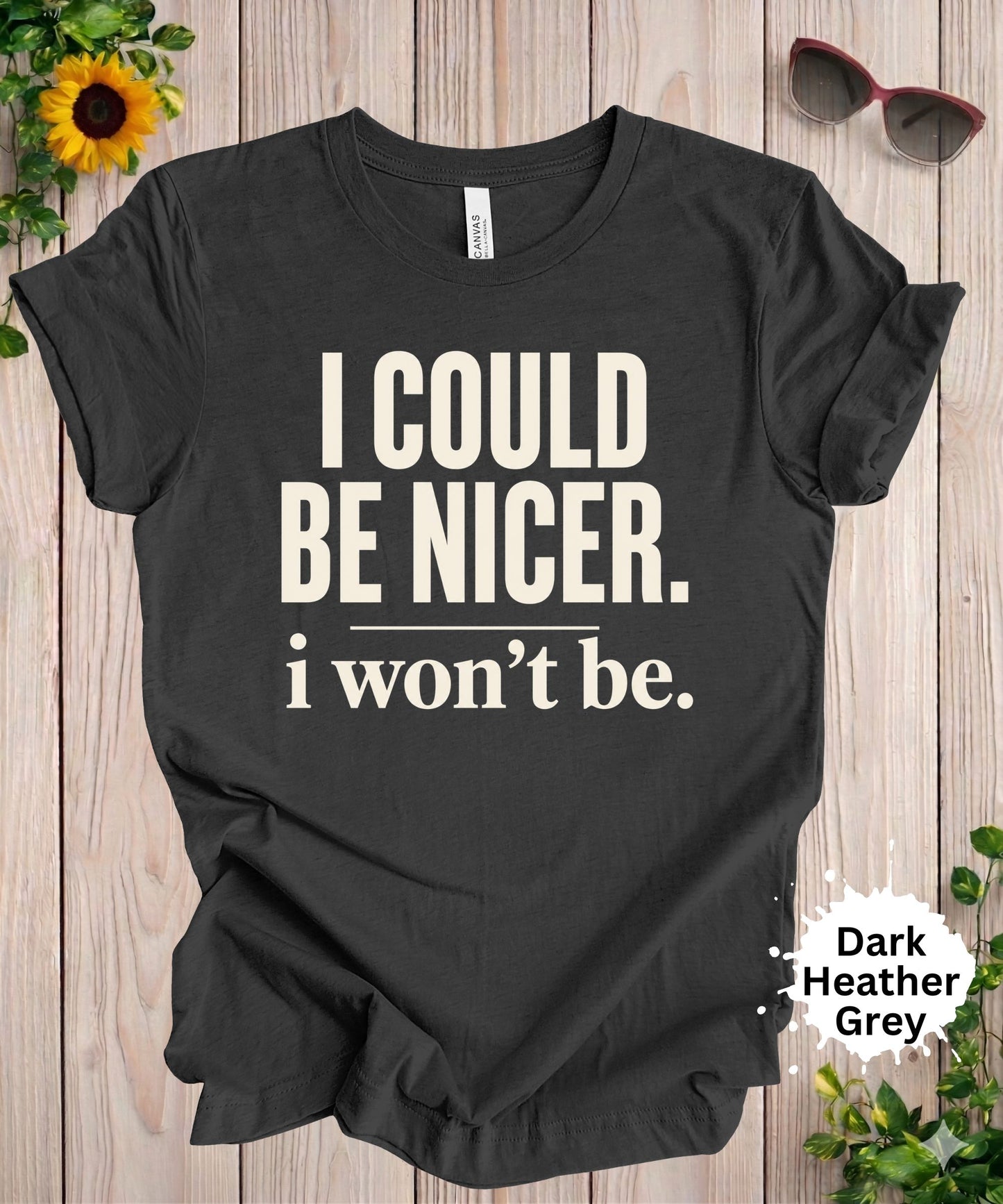 I Could Be Nicer I Won’t Be T-Shirt