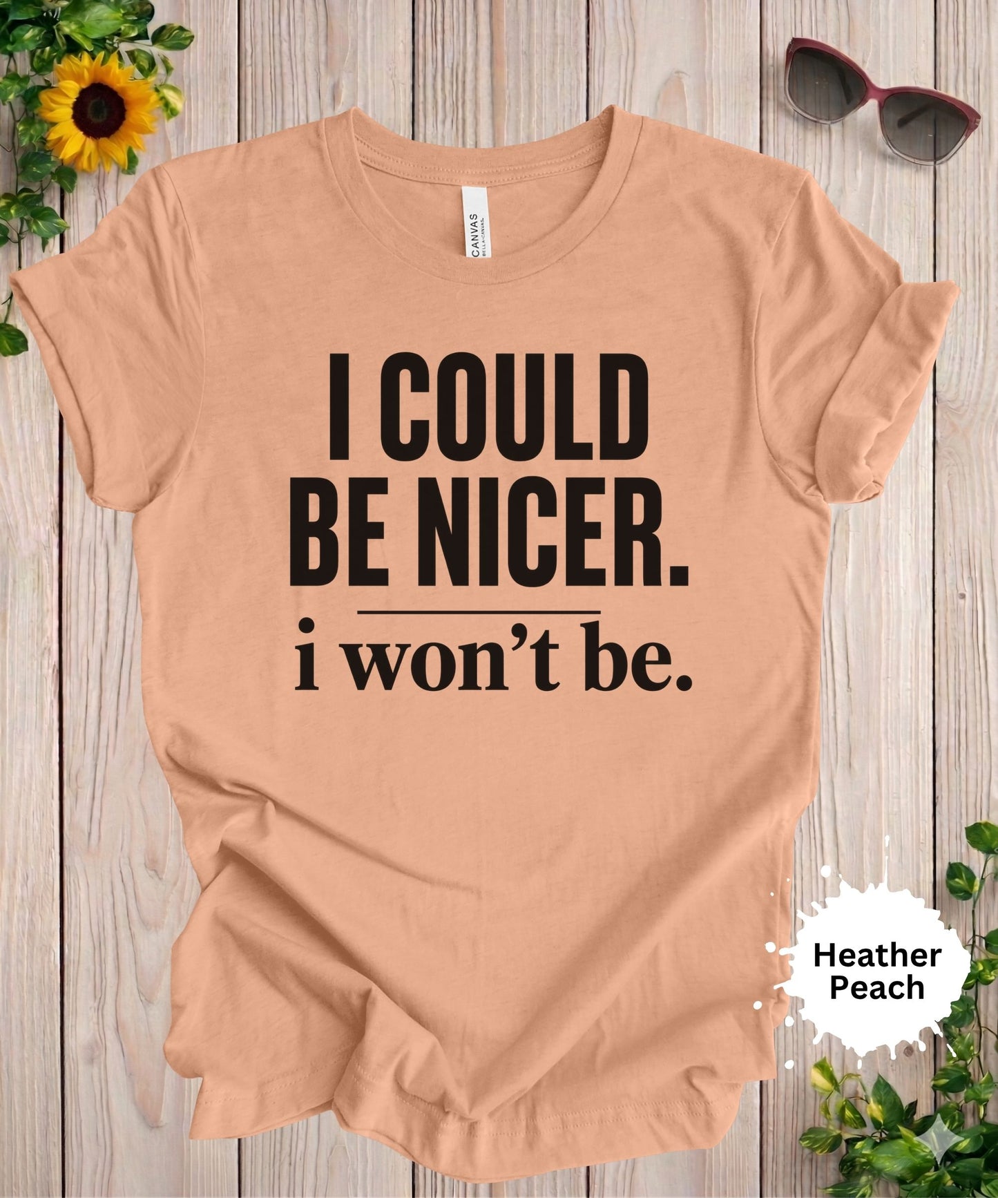 I Could Be Nicer I Won’t Be T-Shirt