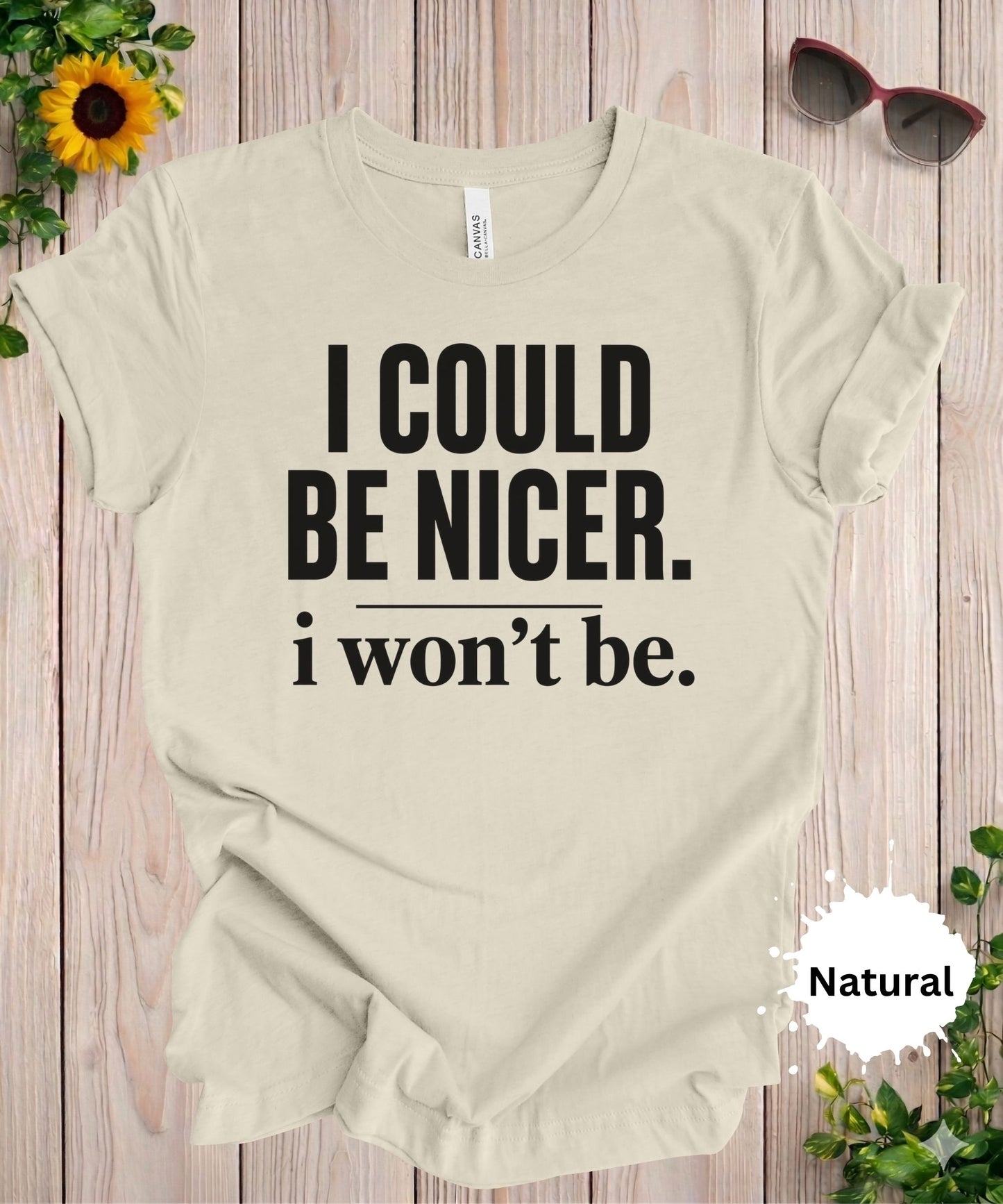 I Could Be Nicer I Won’t Be T-Shirt