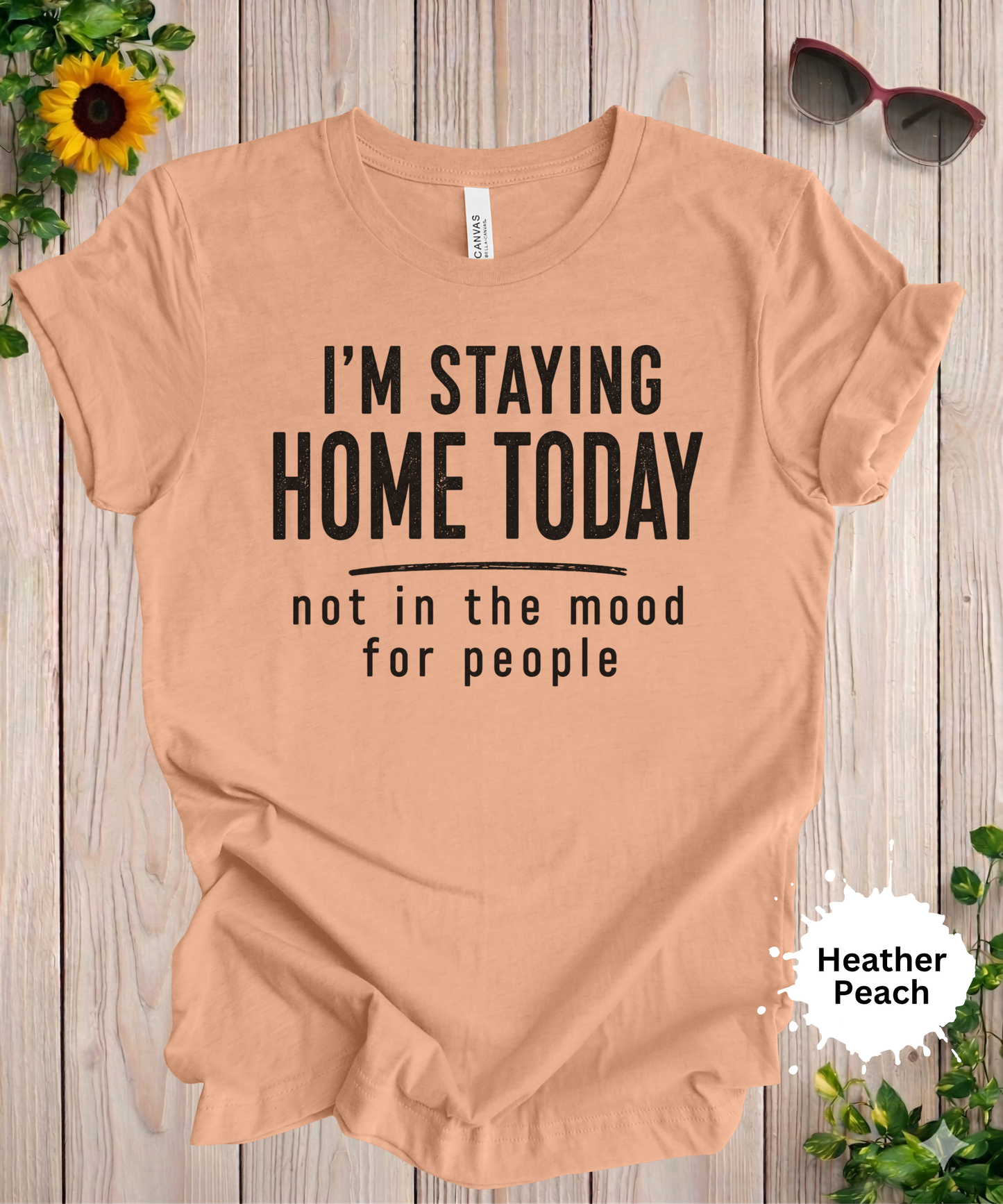 Not in the Mood for People T-Shirt