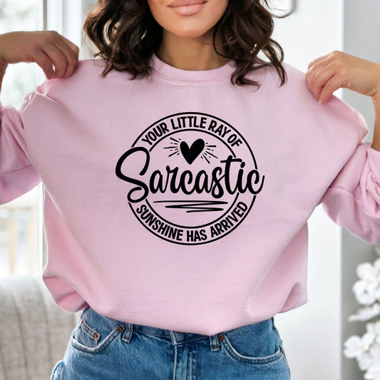 Your Little Ray of Sarcastic Sunshine Has Arrived Pullover Crewneck Sweatshirt